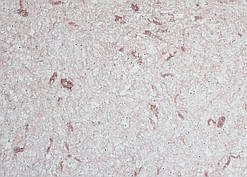 Рідкі Шпалери "Новий-Тон" Тон 11