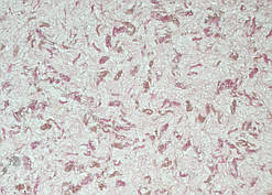 Рідкі Шпалери "Новий-Тон" Тон 12