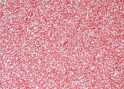 Рідкі Шпалери "Новий-Тон" Тон 14