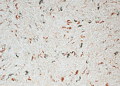 Рідкі Шпалери "Новий-Тон" Тон 17