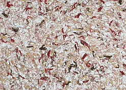 Рідкі Шпалери "Новий-Тон" Тон 19