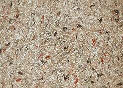 Рідкі Шпалери "Новий-Тон" Тон 21