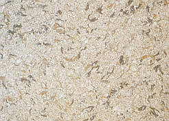 Рідкі Шпалери "Новий-Тон" Тон 24