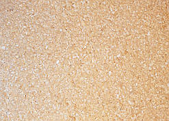 Рідкі Шпалери "Новий-Тон" Тон 25