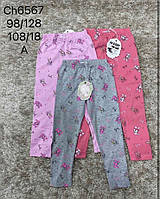 Лосини для дівчат оптом, S&D,98-128 см, № CH-6567, фото 2