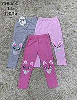 Лосини для дівчаток оптом, S&D, 1-5 лет, № CH-6550, фото 2