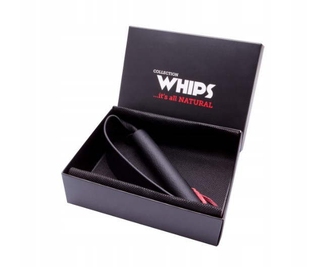 Шкіряний професійний хлист WHIPS