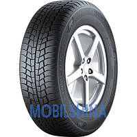 Зимові шини GISLAVED Euro Frost 6 (195/65R15 91T)