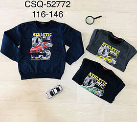 Кофта утепленна для хлопчиків оптом, Seagull, 116-146 рр., Арт. CSQ-52772