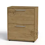 Тумба для взуття ТО-19 (Компаніт) 700х380х842мм, фото 2