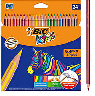 Набір олівців BIC Evolution Stripes 24 кольору (3086123499133)