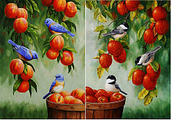 Декупажна карта DC BIRD- 012