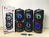 Потужна акустична колонка CH-V4201 Bluetooth Speaker 10Вт (Чорна), фото 3