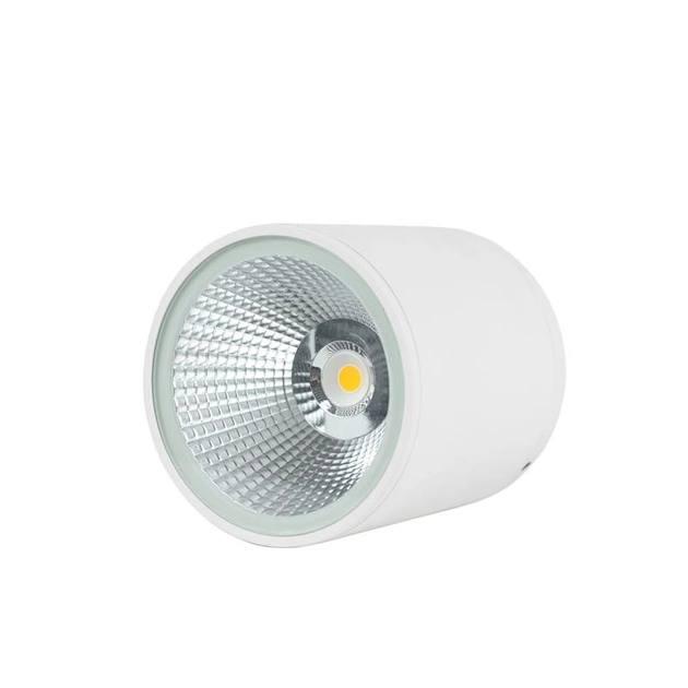 Точковий світильник (8523 White) LED 10W 3000K IP54