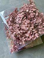 Гортензия стабилизированная розовая античная темная (10 гр)