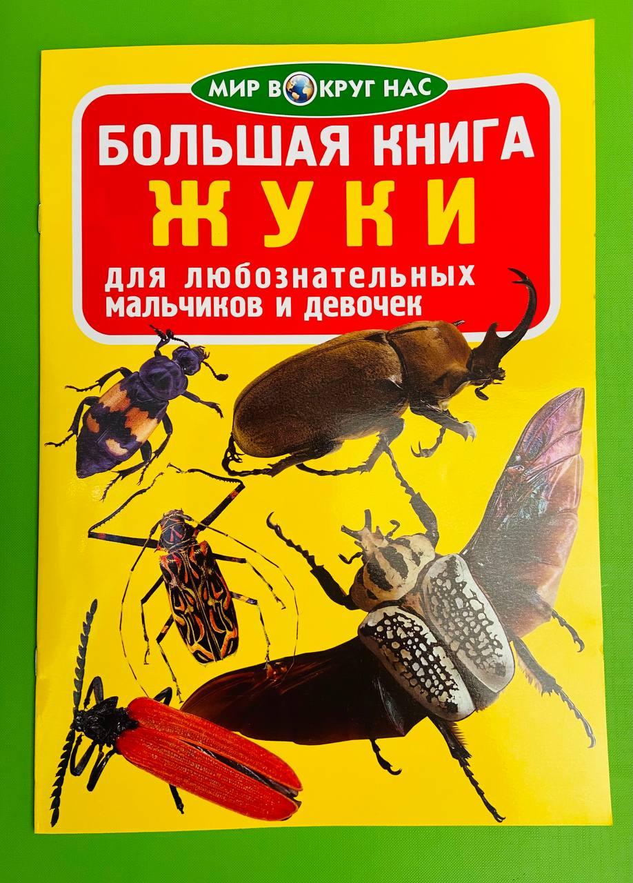 Большая книга Жуки. Мир вокруг нас - фото 1 - id-p1083678740