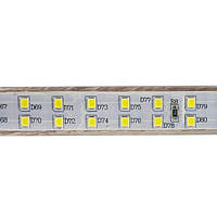 Світлодіодна стрічка 220V синя SMD2835 156led\m IP65 HOROZ ELECTRIC COLORADO 081-006-0001-060