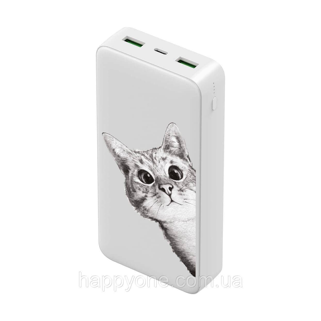 Повербанк (powerbank) "Ей, кіт" 20000 маг