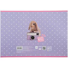Зошит для малювання Kite Studio Pets SP23-241, 12 аркушів, фото 5