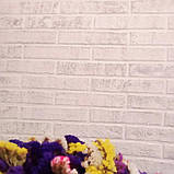 Трафарет для штукатурки Цегла 1 мм багаторазовий 602х309х1 tds-1.2, фото 5