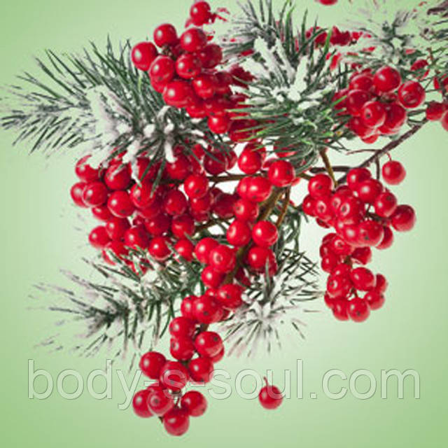 Pepperberry Wreath №151, ароматизатор для свічок і мила, США, ваніль 1%