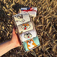 Комплект носков женских длинных весна-осень с классным принтом Собачки 36-41 4 пары в подарочной упаковке