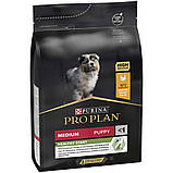 Purina Pro Plan Puppy Medium Healthy Start для цуценят із куркою 3 кг, фото 3