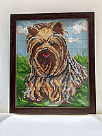 Алмазна вишивка у рамці АВ 4016