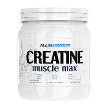 Allnutrition Creatine Muscle Max (500 g, unflavored)