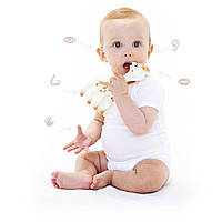 Подарунковий набір Vulli Жирафа Софі і прорізувач, Sophie la girafe (Vulli), фото 5