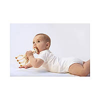 Подарунковий набір Vulli Жирафа Софі і прорізувач, Sophie la girafe (Vulli), фото 8