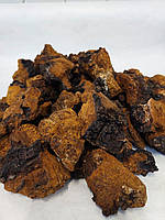 Чага або березовий чорний гриб (Inonotus obliquus), кг