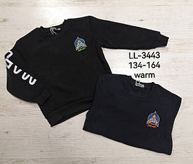 Кофта утеплена  для хлопчиків оптом, Sincere, 134-164 рр., арт. LL-3443