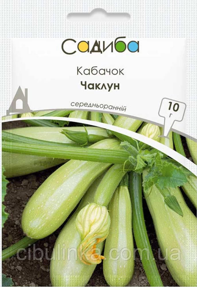 Насіння Кабачок Чаклун Садиба центр 10 г, фото 1