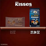 Цукерки Hershey's Kisses Harry Potter Milk Chocolate Halloween Candy Bag 766g, фото 7