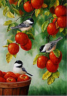 Декупажна карта DC BIRD- 022