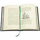 Подарункова шкіряна книга «Цілющий травник», фото 8