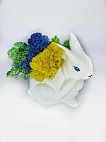 Стабілізований мох-ягель Кашпо у формі зайця Кольоровий декоративний мох Декор для дитячої