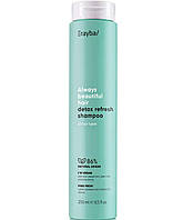 Очищающий шампунь для волос Erayba Always Beautiful HairE ABH Detox Refresh Shampoo 250 мл