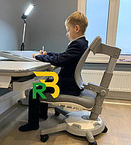 Дитячий стіл-парта та крісло для навчання в дитячу кімнату | Mealux Woodville MС E + Ortoback, фото 2