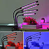 Гнучка світлодіодна фітолампа для рослин 4 головки, 40Вт / Настільна фітолампа, фото 2