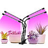 Гнучка світлодіодна фітолампа для рослин 4 головки, 40Вт / Настільна фітолампа, фото 7