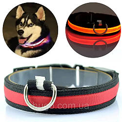 Нашийник, що світиться на акумуляторі з USB для кішок і собак GLOW RING, Червоний / LED нашийник з акумулятором