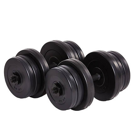 Гантелі HDS бітумні 2 x 21 кг, фото 1