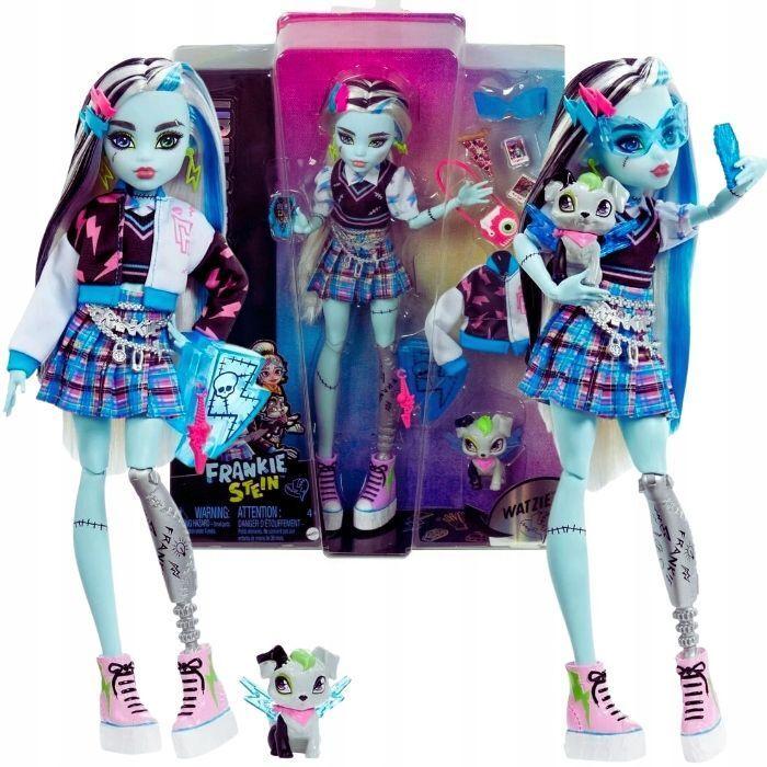Лялька Mattel Monster High Frankie Stein Френкі Штейн з аксесуарами HHK53