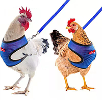 Повідець для курки ABC синій