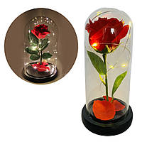 Роза в колбе с LED подсветкой красная / Роза в стеклянной колбе / Роза в колбе под стеклянным куполом