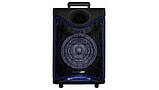 Портативна Bluetooth колонка 30W Потужна акустична система Goldteller 6020GTS з мікрофоном пультом, фото 5