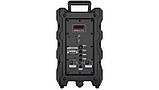 Портативна Bluetooth колонка 30W Потужна акустична система Goldteller 6020GTS з мікрофоном пультом, фото 8