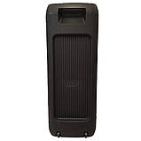 Акустична система з мікрофоном Goldteller 505GT портативна колонка USB/TF/FM/Bluetooth 60W RGB, фото 8